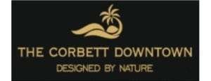 Webste design project hecorbettdowntown